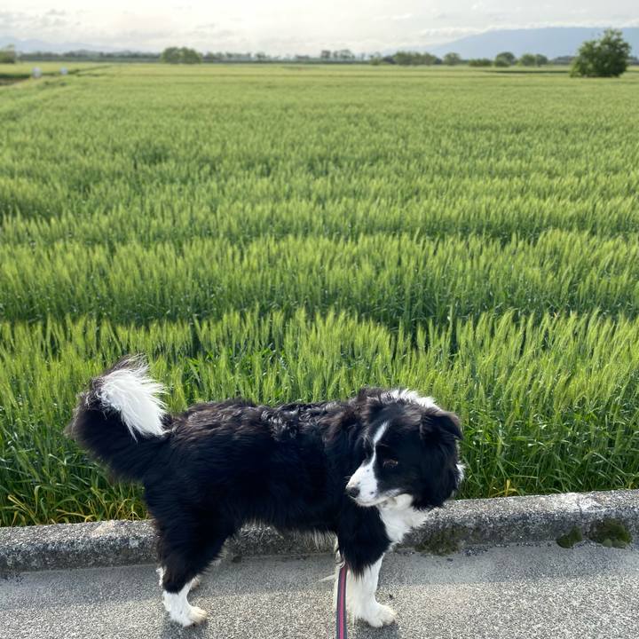 E1f553ed b799 4b6f 8d59 0d0d57197d88 1650065888701