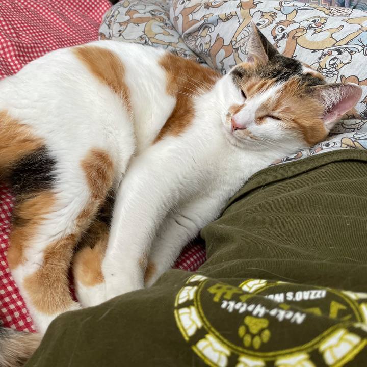 E1f56e66 22c0 470c aea4 c8fec4e5fbfd 1624763705939