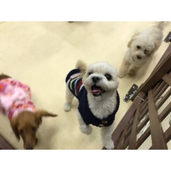 E1f58773 3e71 4256 ba3d 4cce95b79a0b 1513339417886