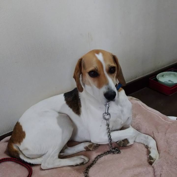 E1f59fff 9673 4d5c ad45 4110fa6da196 1604490189615