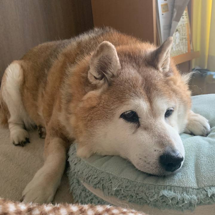 E1f5f40b 505b 4f39 808a 0c867dfdad9c 1615687104384