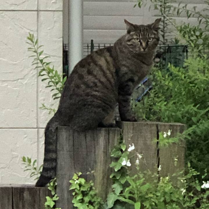 E1f5f7c7 2b70 4fa3 937d 712f283db095 1591439208096