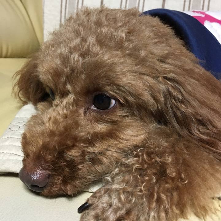 E1f62fea 59e0 4881 8f68 79cd1a9da92d 1526560084008