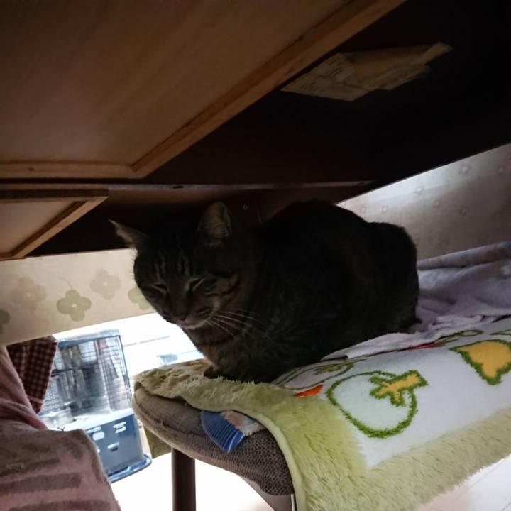 E1f6417f 1c19 468f 83f4 dd1c0a453116 1642020777507