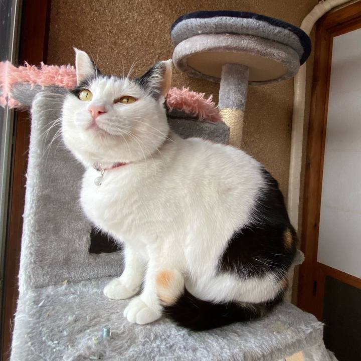 E1f65d18 b28d 4eeb 800b 8d9c528ecf01 1648031717693