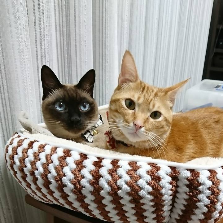 E1f691e6 9dc3 4e69 9f7a f02d23f3e53a 1514119150455