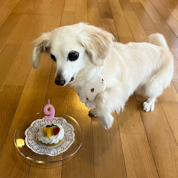 E1f69e1d 8ddd 4160 aaf0 e6fdf3fbe7ea 1749378236209