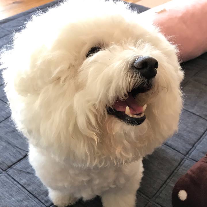 E1f6adab 31c9 41ed 9fc2 416c450e55ab 1573788143342