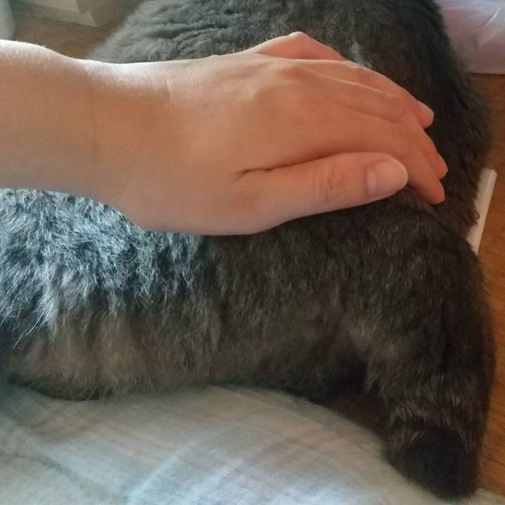 E1f6e4e0 1fb8 4ac5 9279 a29e54732d34 1658107756171