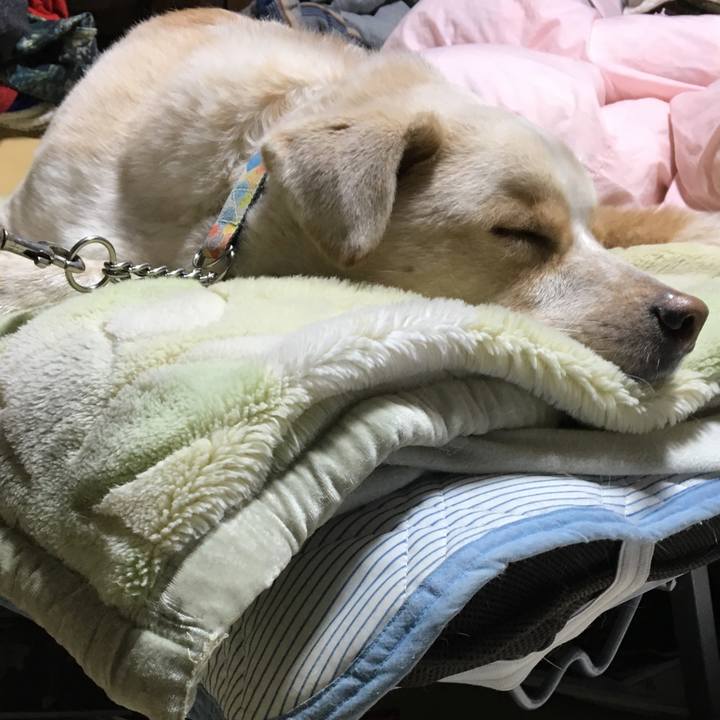 E1f70b5e aa96 4402 b38e 399b97e9fcfa 1516100387450