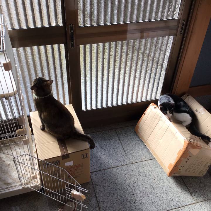 E1f7866b 4056 4488 86e7 c92c76492b56 1641173557641