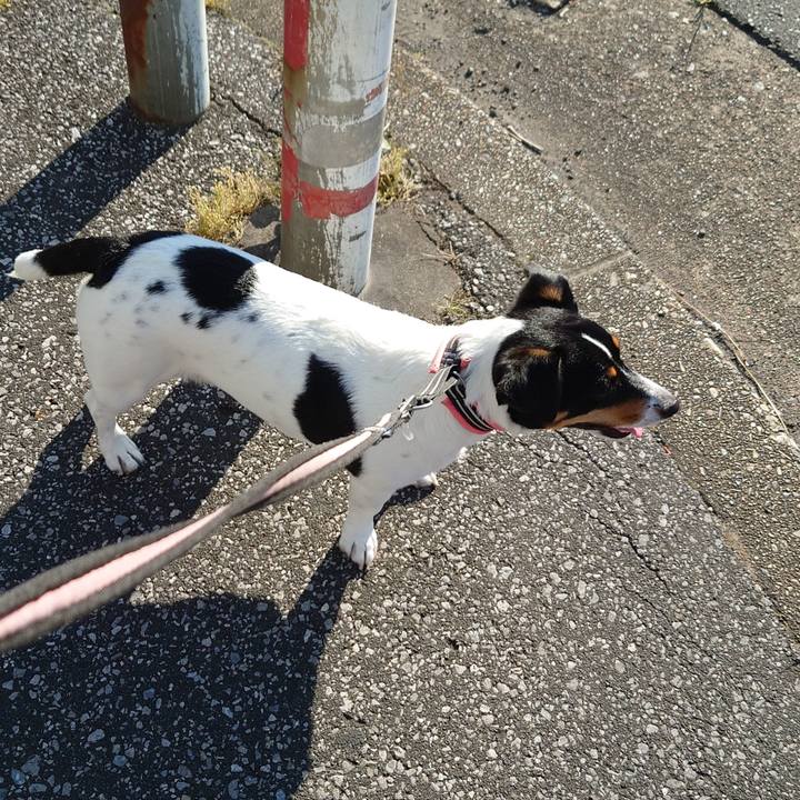 E1f7987a 37aa 4713 badb b986adcabd0a 1656291279965