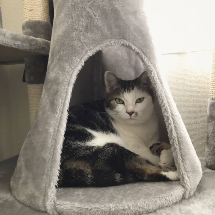 E1f79b5d a564 402d 9d14 bbe0a0d2f6e6 1558147137217