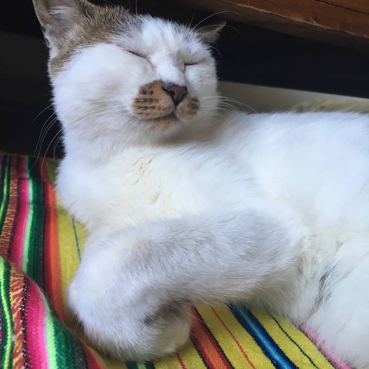 E1f80c98 90b0 40f7 b67f fe0299a4fe61 1513144570777