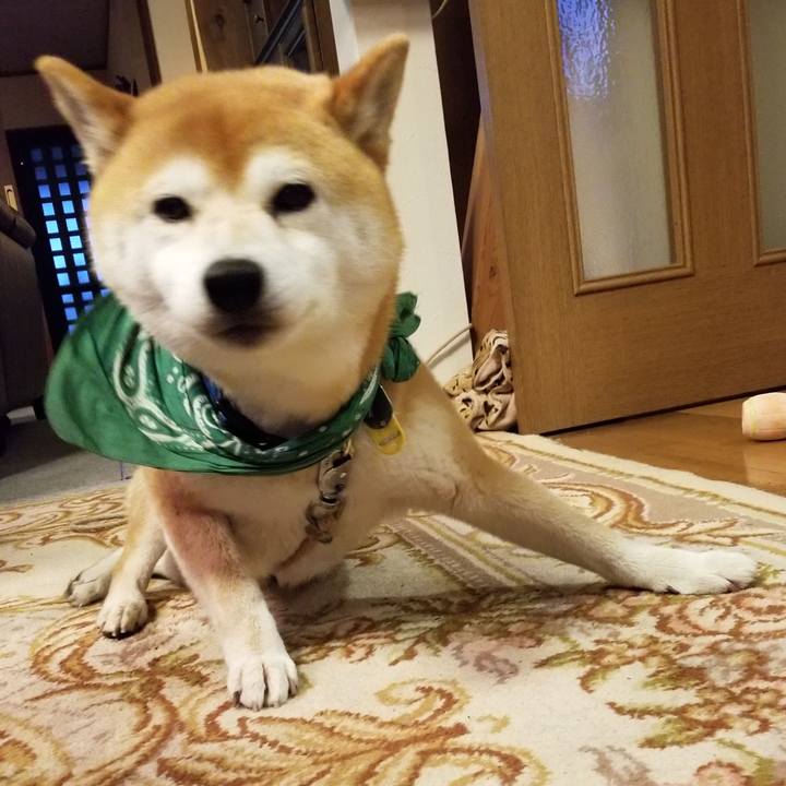 E1f81769 0ec4 4ce5 a72e 9058faecad82 1556876118736