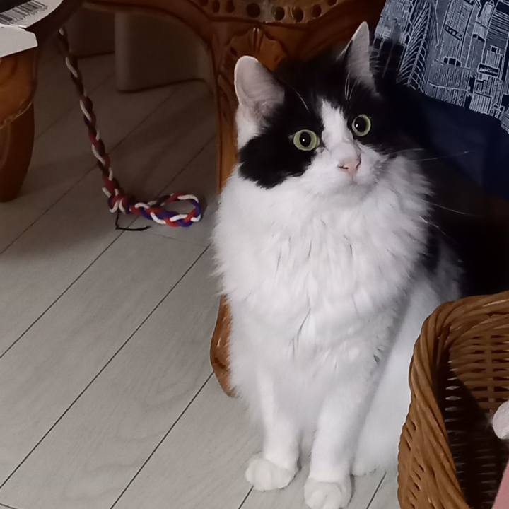 E1f8282e 6b14 4dde bc45 d37432d1d39f 1636406580385