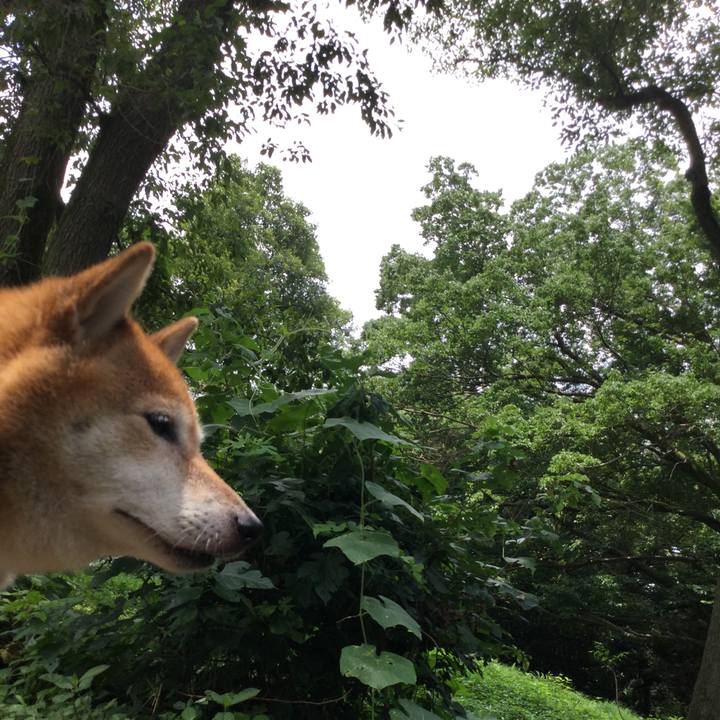 E1f84d78 bdcb 4f38 bf2e 910554a4152d 1626412345837