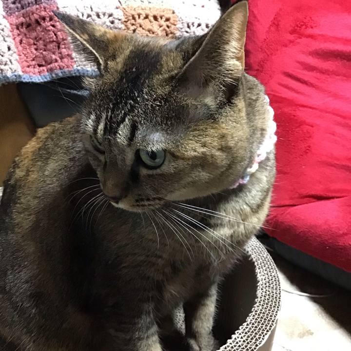 E1f8b805 637d 45d2 aa3f a686e26105f5 1700224561718