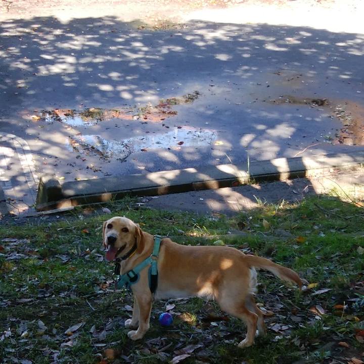 E1f8de44 a062 4edd 81e2 b3de69ff2d62 1508731945270