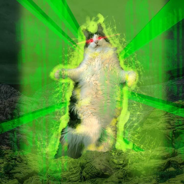 E1f8e043 17ce 41df 9c5d 8aad431312d4 1560608690136