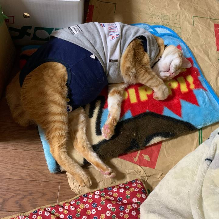 E1f8eec3 88ed 453a b85c 954eefcf7a32 1607257045211