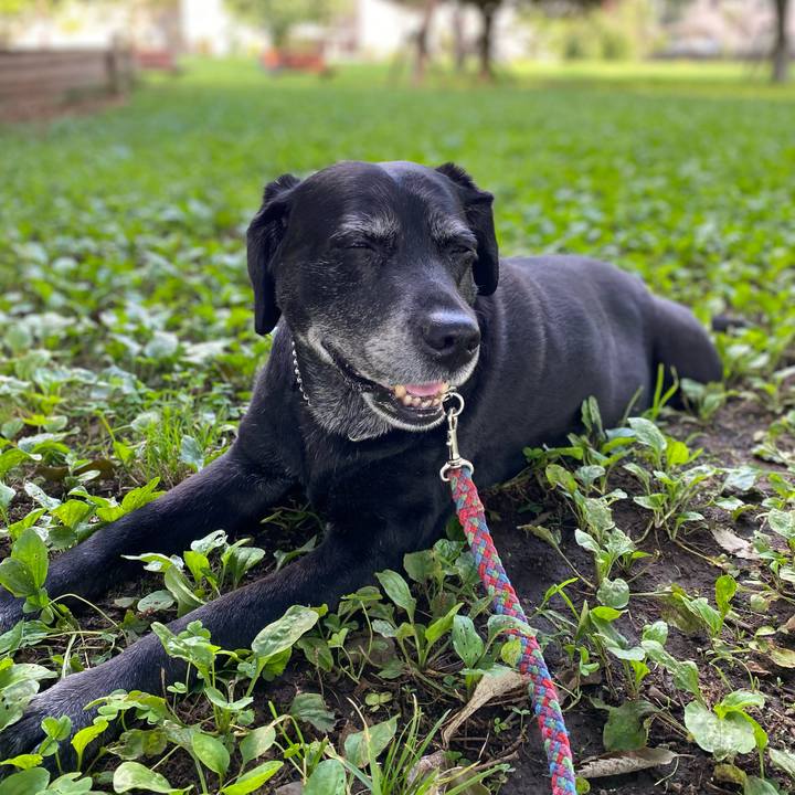 E1f8f0b4 7c40 4ffd 8bfd 027fe773e36f 1626422009756