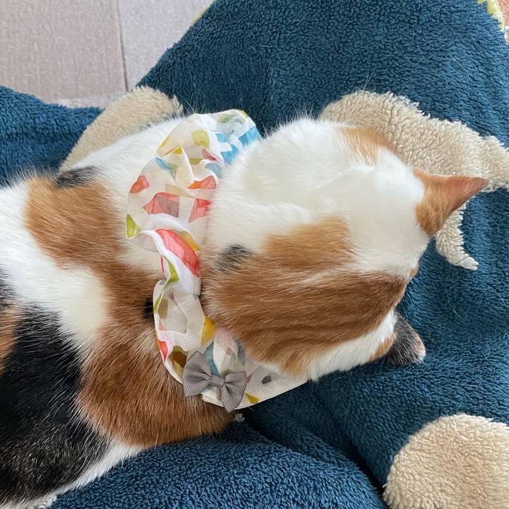 E1f8fa60 1f1d 4295 b7b2 d5af5c40c007 1768614651184