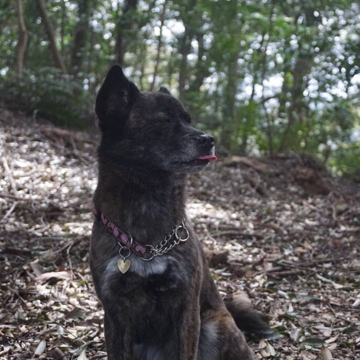 E1f92c8e a1aa 449b a757 96df8e869079 1524754708424