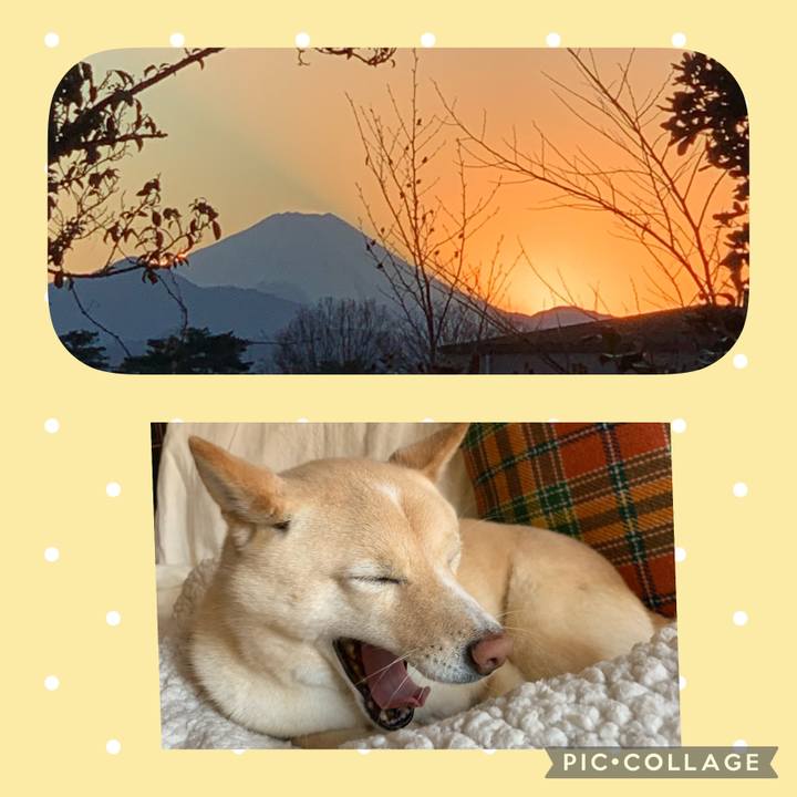 E1f93b36 affa 44d4 911f 753d3ed5745e 1642076820542