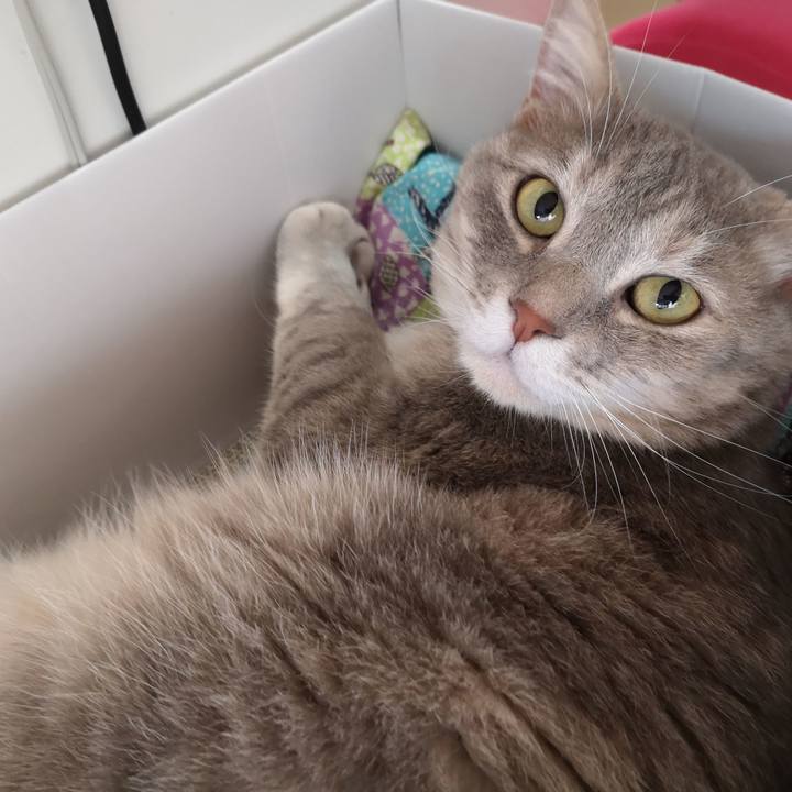 E1f94f24 f6f1 4caf a744 ac1ff5a303dc 1560999561856