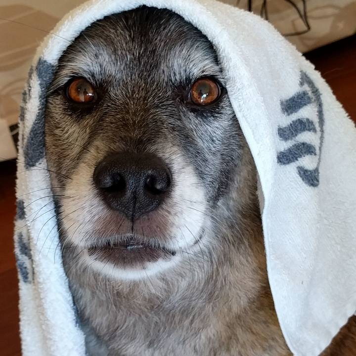 E1f994f1 ea66 47cf ac57 1892d3a783ab 1509332640096