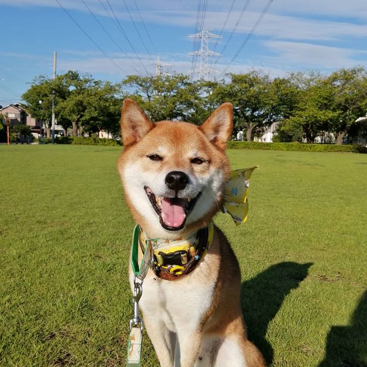 E1f9bd74 b5b2 4af5 a657 5747c56d8750 1627721159971