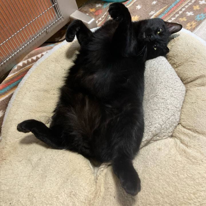 E1f9ddb8 5cfd 41fc ba91 02e041bd01a5 1651206462864