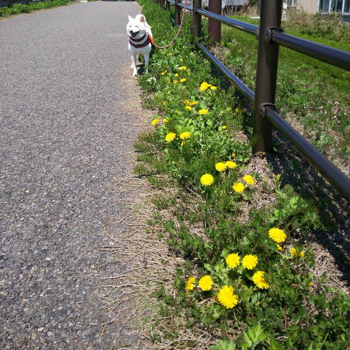 E1f9eafd 19db 44b8 90c2 b223625412ce 1555384746180