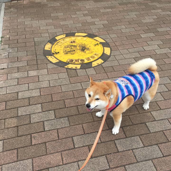 E1f9f501 6291 4337 a2db 79fb3d8d56c2 1552190433182