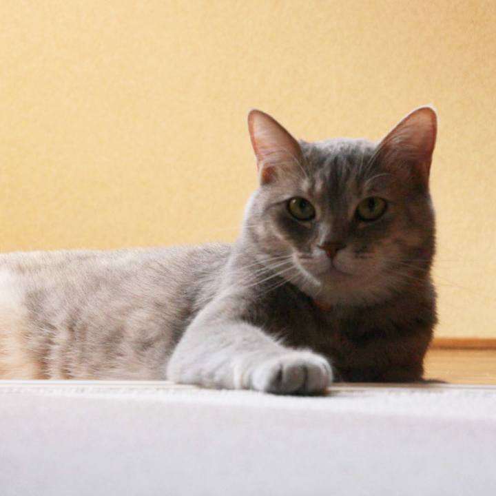 E1fa027a 4ffe 4c2d 8a1e 8359d291d623 1559533078997