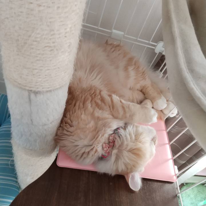 E1fa21e0 bd84 40a6 a13b 3aaeeddee890 1641618335828