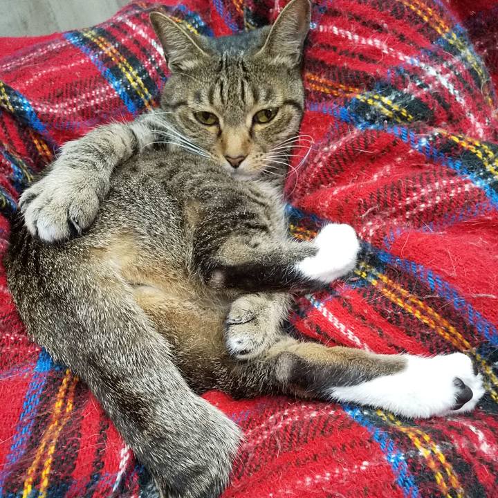 E1fa2967 90e2 41fb 9225 866b08a87793 1619871347447