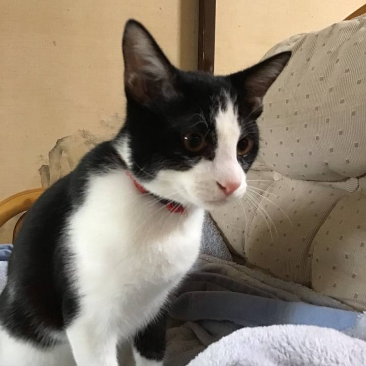 E1fa2b05 9a1e 4bbc 9257 d67157789836 1630568861728