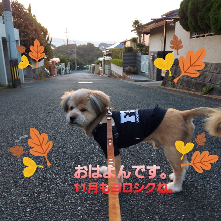 E1fa6082 8eb7 451a 969c 7c2b8d8e28b1 1635718880946