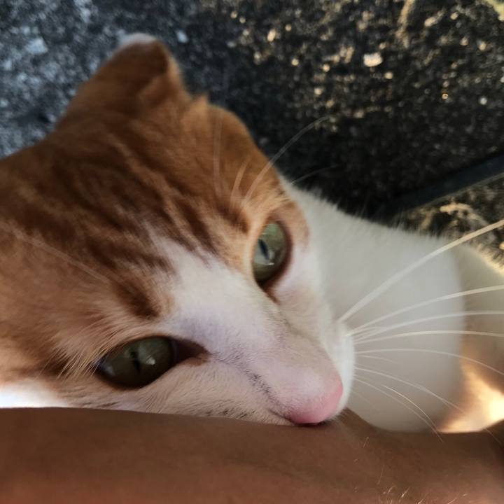 E1fa6e33 f82c 4d29 b5f7 1481c39ead57 1534928701804