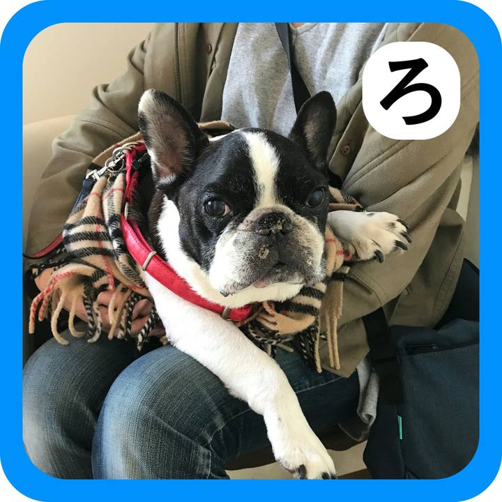 E1fa9c3c 1822 4f7c 96b4 93d2de20b384 1514768341116