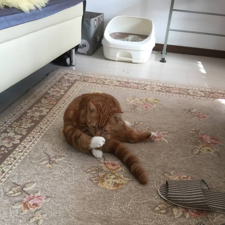 E1fab2bb a6ae 468c 90eb edd3611faa3a 1510969985081