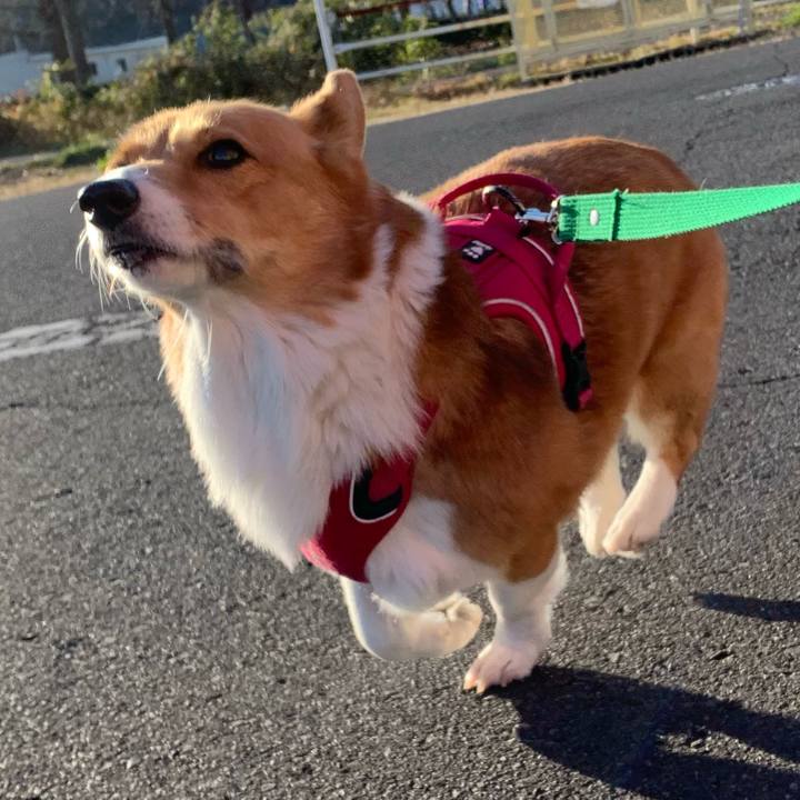 E1faeb88 28c7 44d3 9073 570a061d5d69 1641108961797