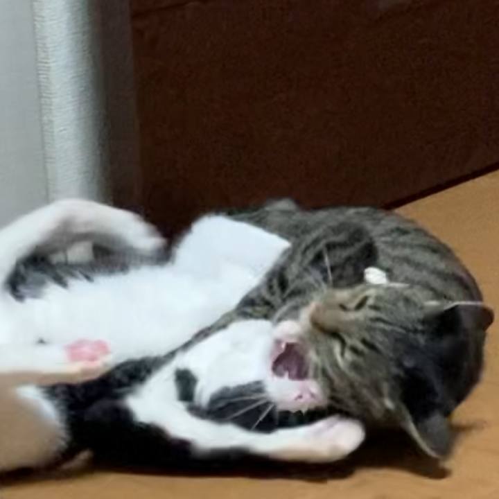 E1fb14de feed 4be4 9883 ceafa1f3d24b 1611052745430