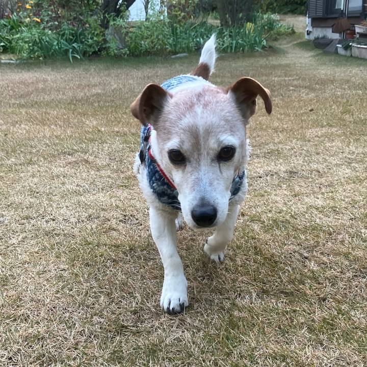 E1fb547b 631b 48da 8958 28f007e14b5e 1766880584770