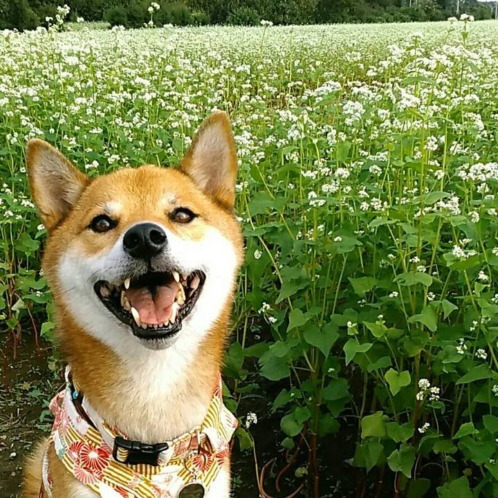 E1fb6e74 ac5e 405c 8ef1 68db8d3bd7c3 1537601778444