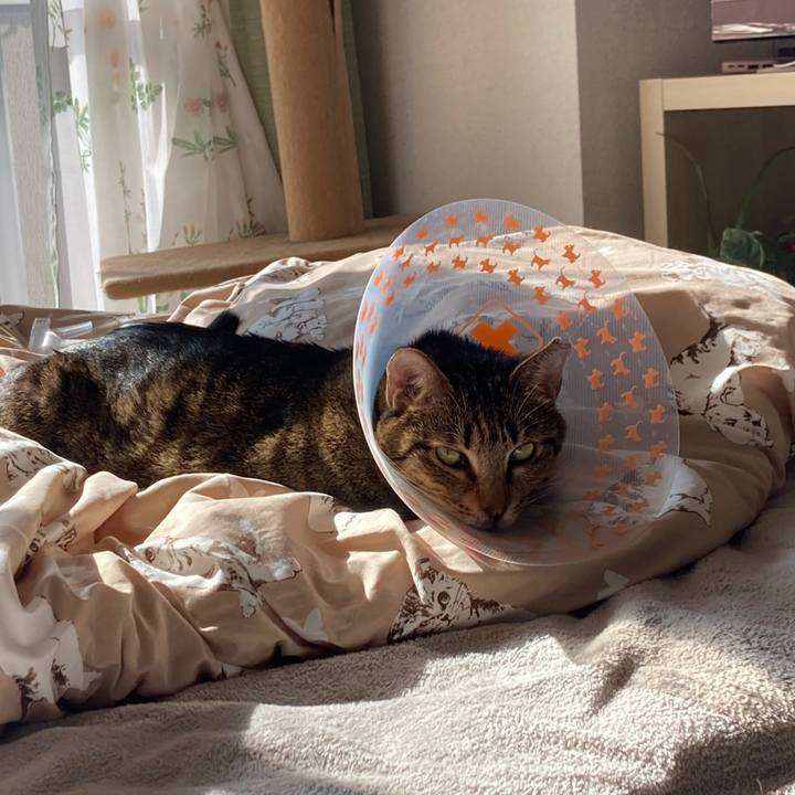 E1fb7928 f0d9 46ec 9e72 8a08fd60135b 1607839579670