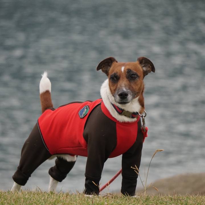 E1fb7c7e efcc 4c20 b2f1 91bfd6193a84 1541457594693