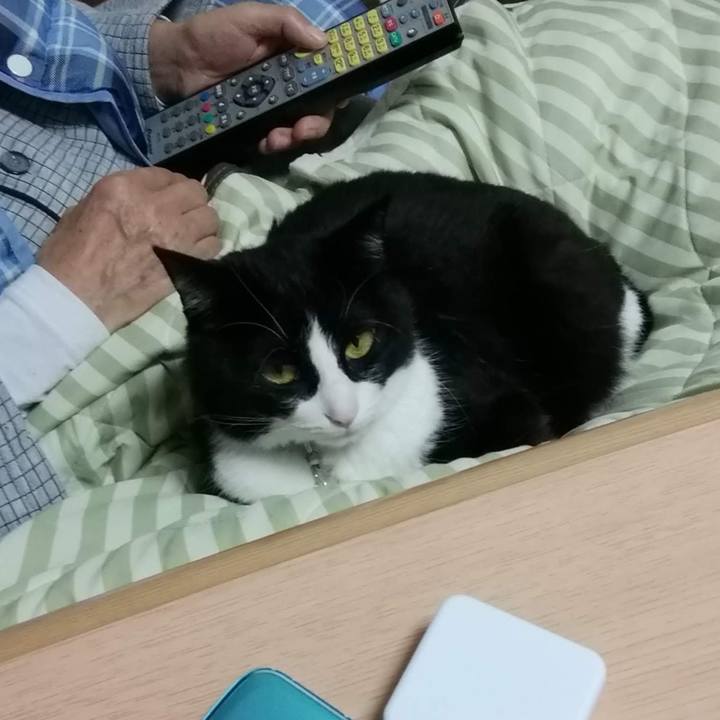 E1fbbb1b 3a2f 4052 8c6b 96c061870769 1615779401077